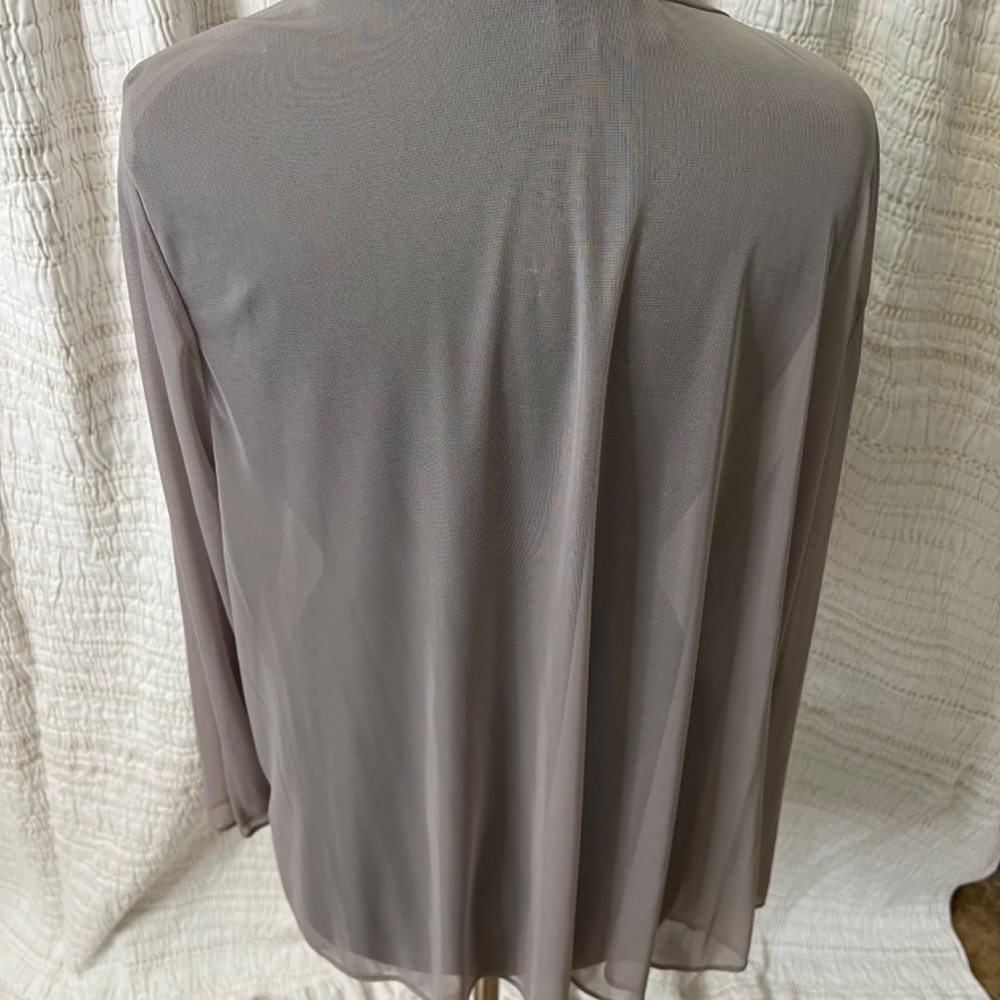 Sheer Jacket - Picture 2 of 2